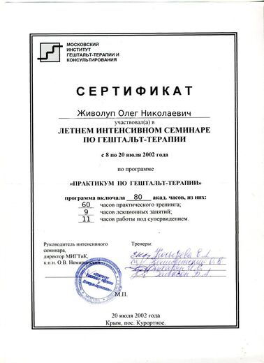 Сертифікат 2